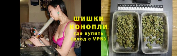 СК Бронницы