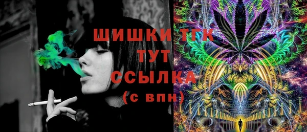 СК Бронницы
