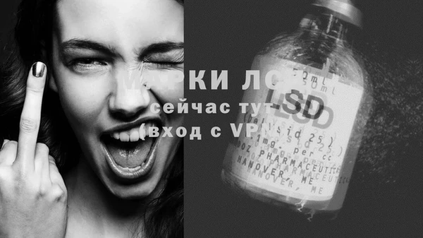 СК Бронницы